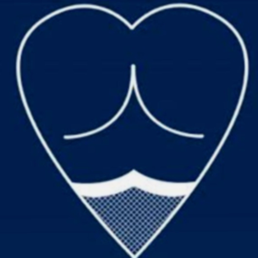 Bof Casino Nederland App
